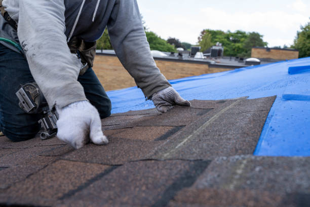 Quick and Trustworthy Emergency Roof Repair Services in Minnetrista, MN